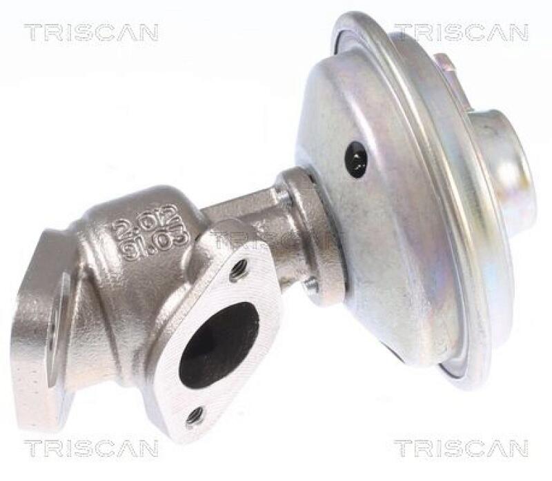 TRISCAN EGR Valve