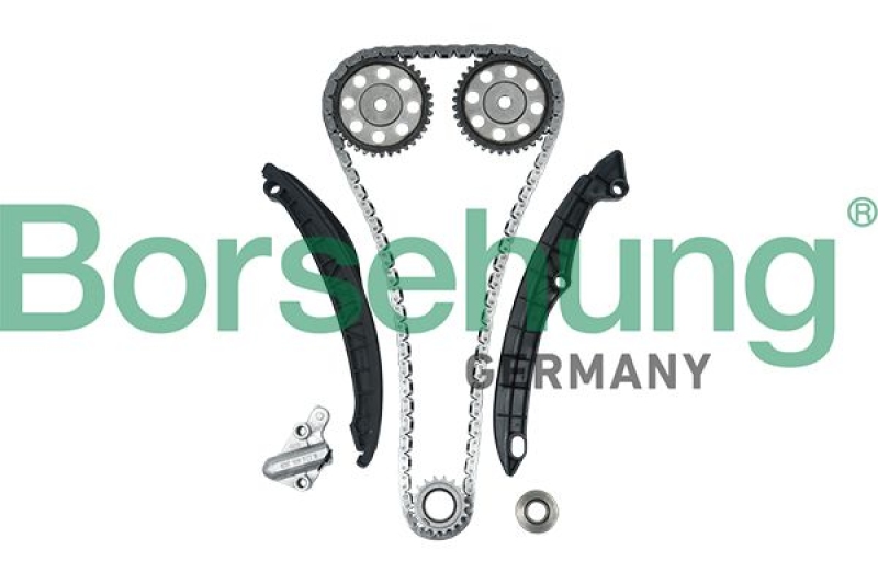 Borsehung Timing Chain Kit