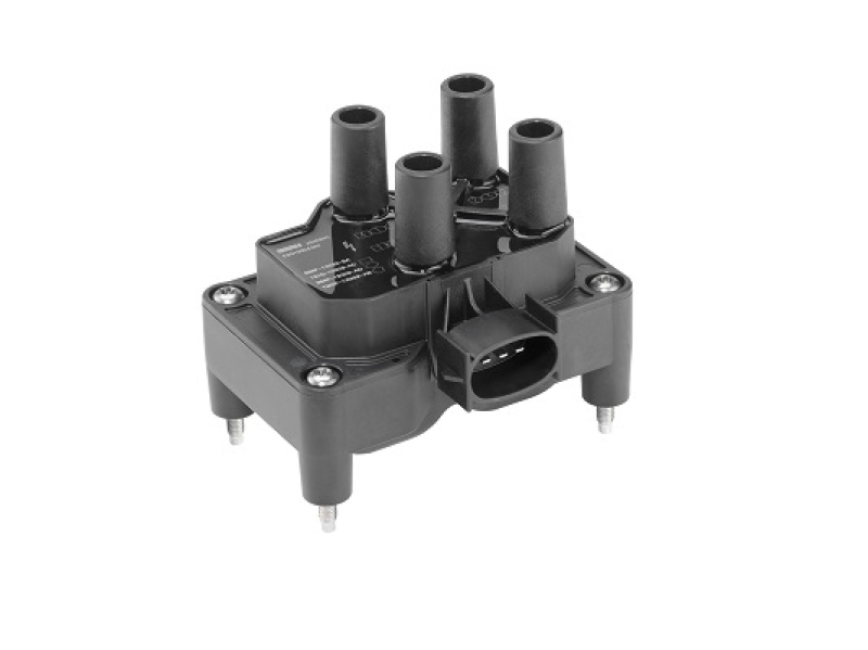 BorgWarner (BERU) Ignition Coil