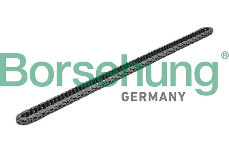 Borsehung Timing Chain
