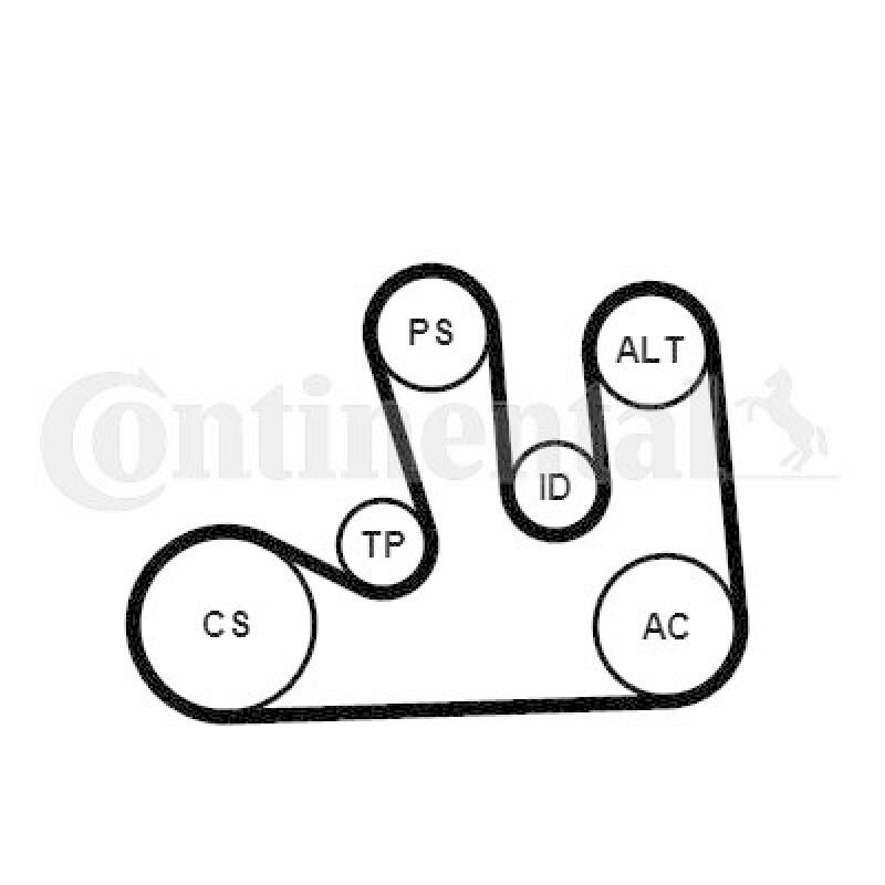 CONTINENTAL CTAM Keilrippenriemensatz