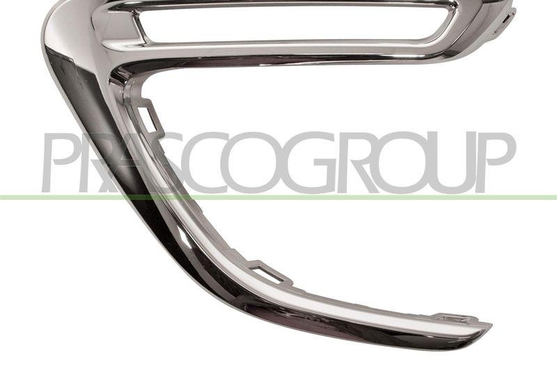 Trim/Protective Strip, radiator grille