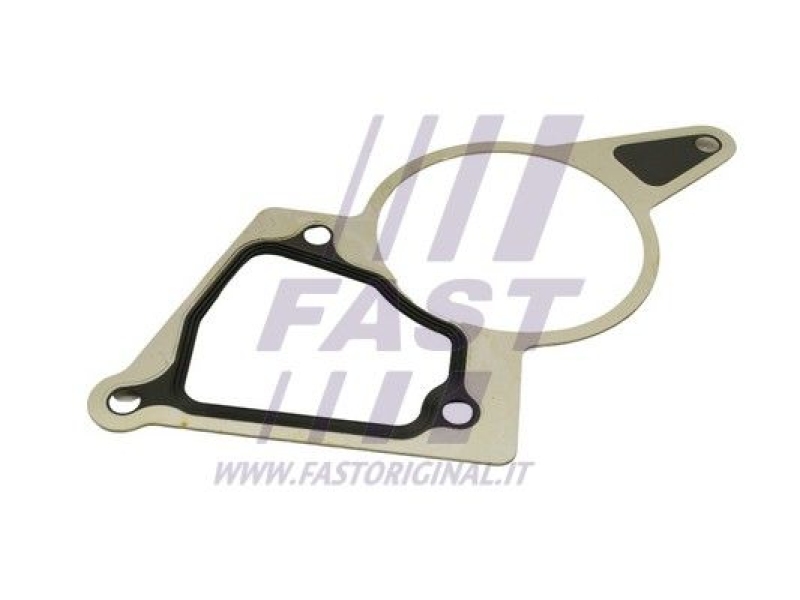 FAST Gasket, vacuum pump