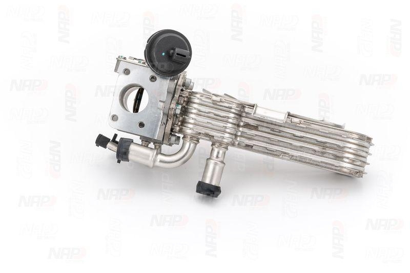 NAP carPARTS AGR-Ventil