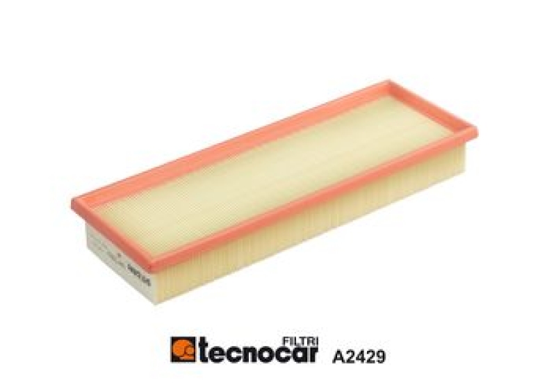 TECNOCAR Luftfilter A2429