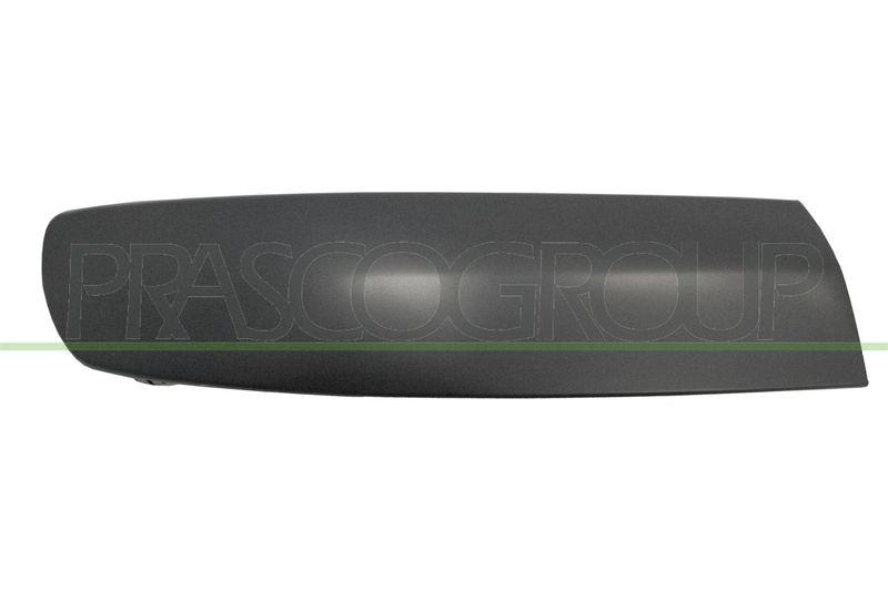 Trim/Protective Strip, bumper