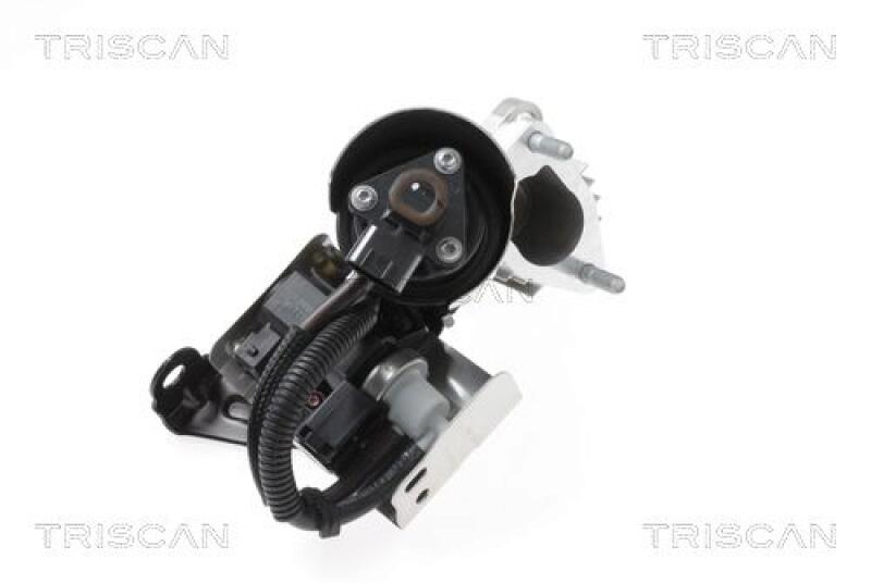 TRISCAN EGR Valve