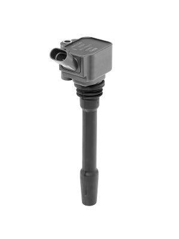 BorgWarner (BERU) Z&uuml;ndspule ZS587