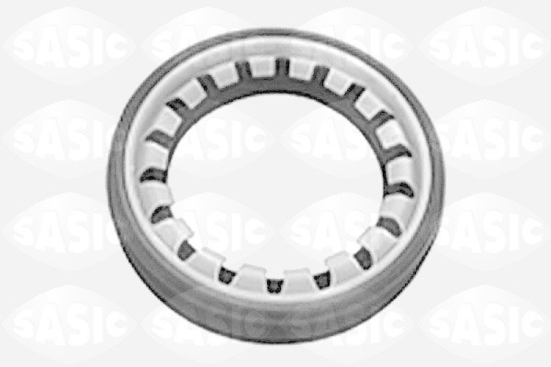 SASIC Wellendichtring, Differential