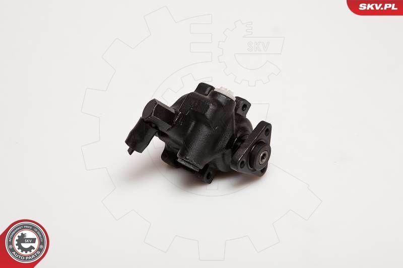 ESEN SKV Hydraulikpumpe, Lenkung