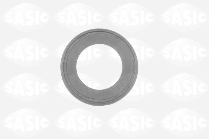 SASIC Wellendichtring, Differential