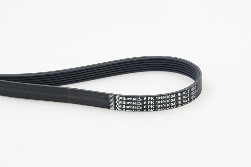 CONTITECH Keilrippenriemen 6PK1019 ELAST