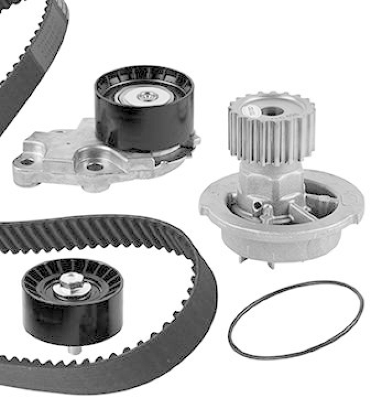 GRAF Water Pump & Timing Belt Kit