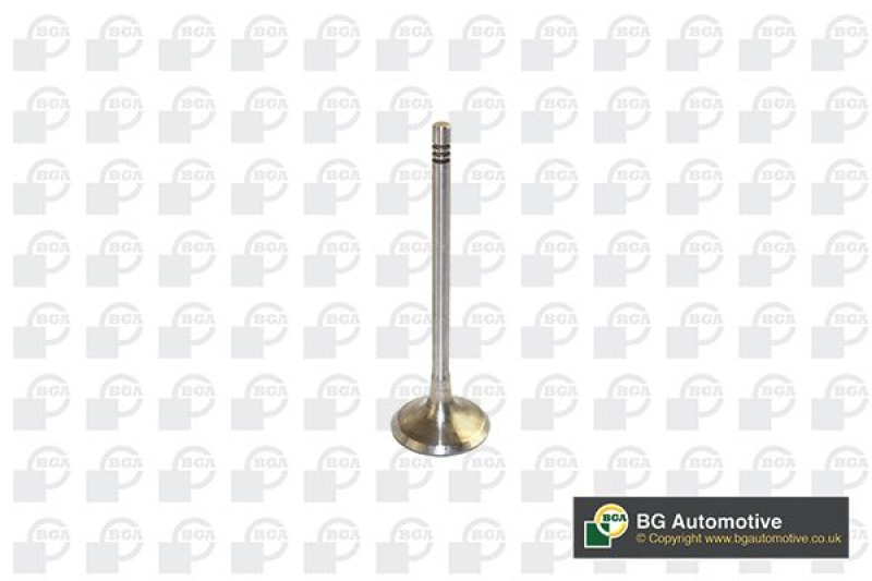 BGA Intake Valve