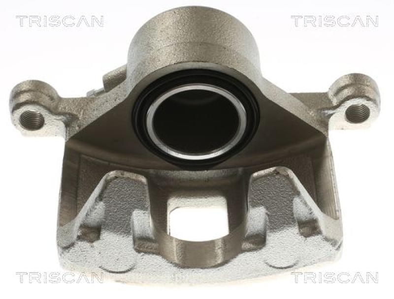 TRISCAN Bremssattel