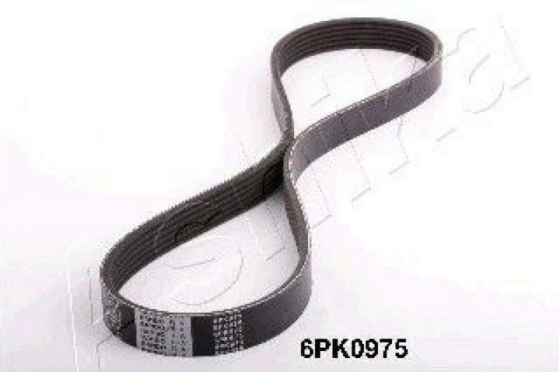 ASHIKA V-Ribbed Belts