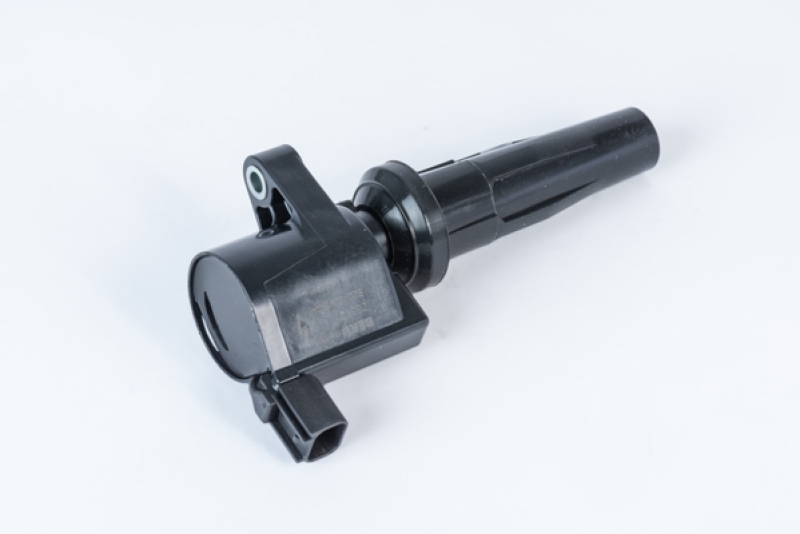 BorgWarner (BERU) Ignition Coil