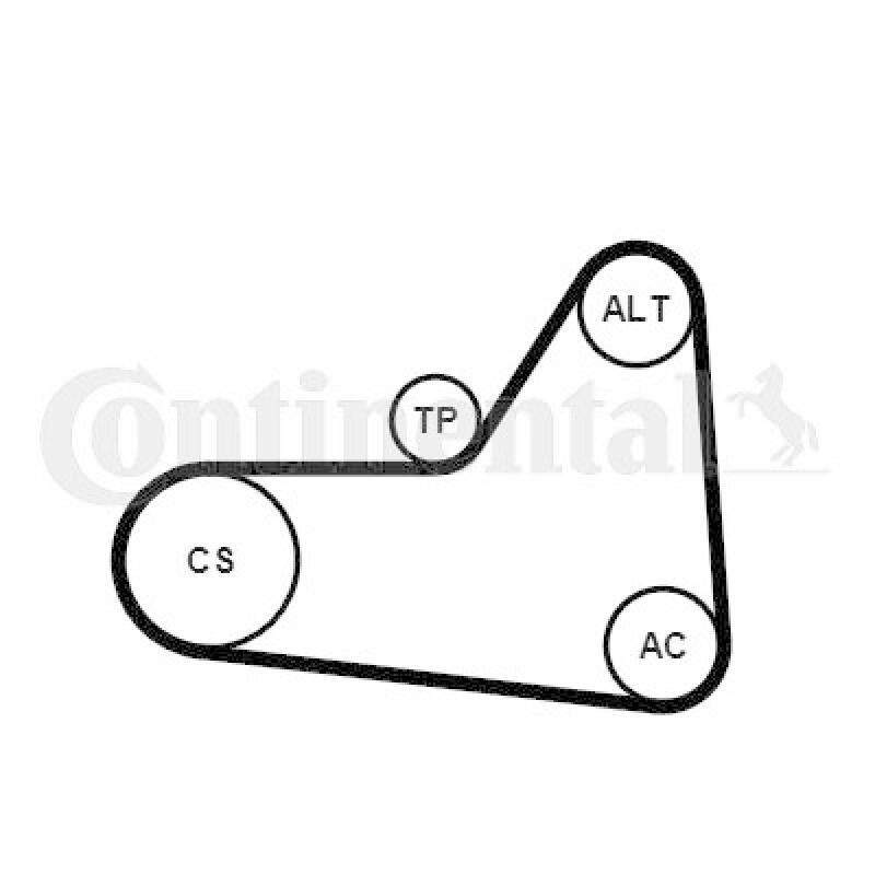 CONTINENTAL CTAM Keilrippenriemensatz