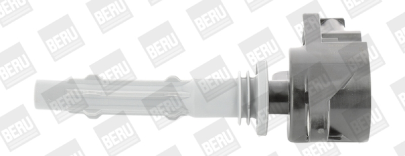 BorgWarner (BERU) Ignition Coil