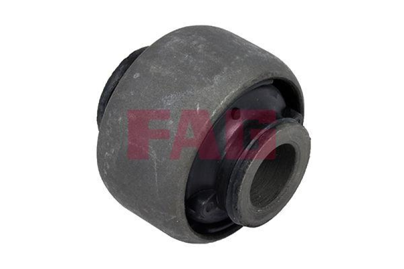 Schaeffler FAG Lagerung, Lenker