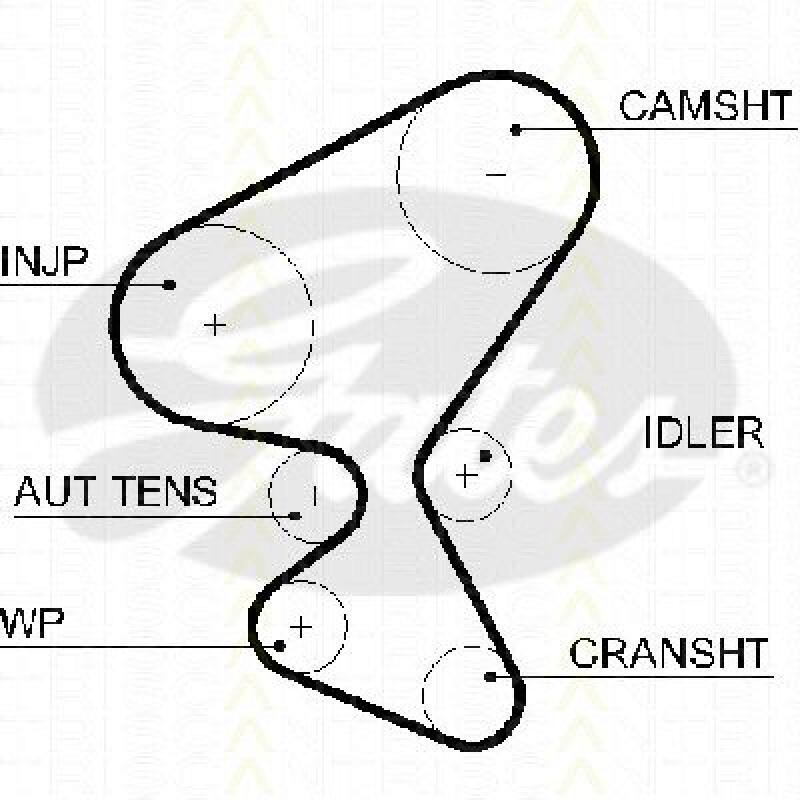TRISCAN Timing Belt