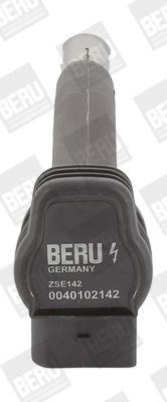 BorgWarner (BERU) Ignition Coil