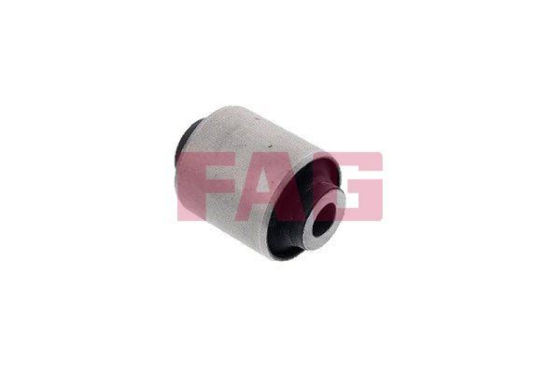Schaeffler FAG Lagerung, Lenker