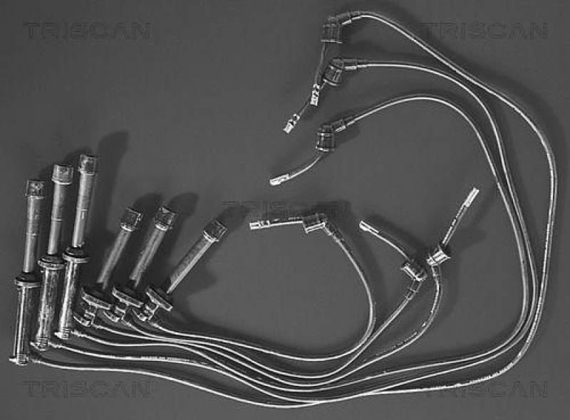 TRISCAN Z&uuml;ndleitungssatz 8860 7151