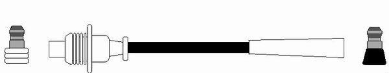 NGK Z&uuml;ndleitung 36709