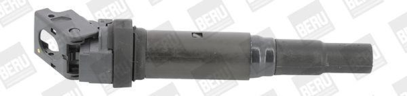 BorgWarner (BERU) Ignition Coil