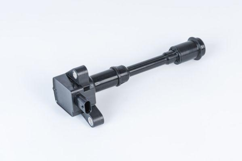 BorgWarner (BERU) Ignition Coil