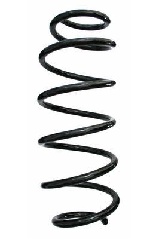 SPIDAN Suspension Spring