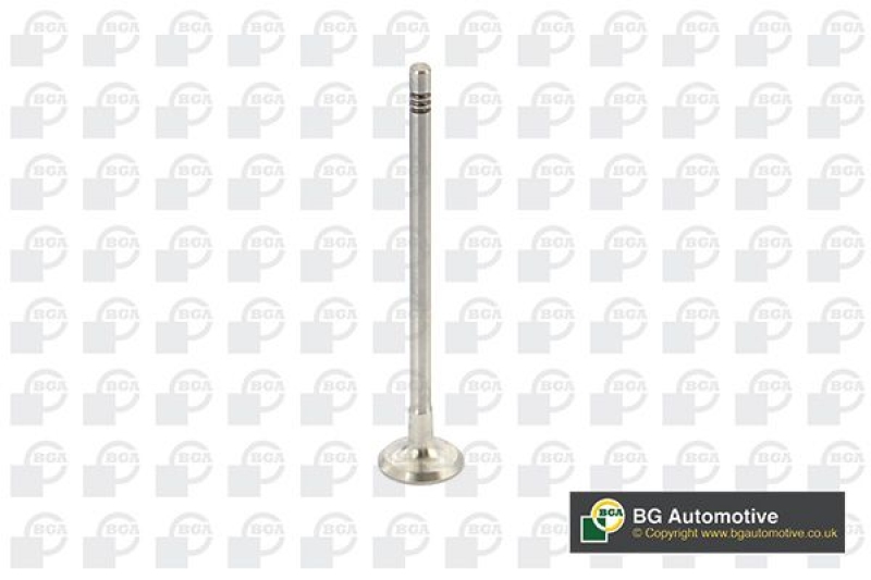 BGA Exhaust Valve