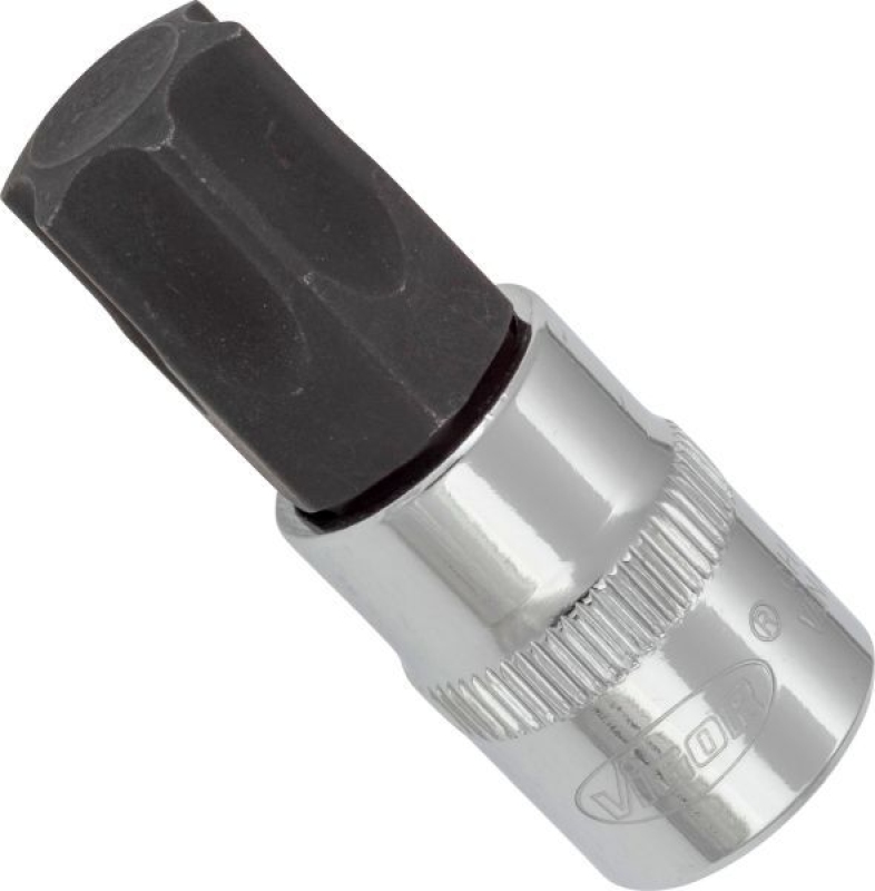 VIGOR Socket