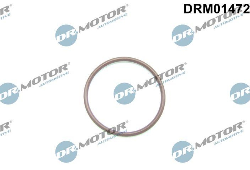 Dr.Motor Automotive Dichtung, Kraftstoffpumpe