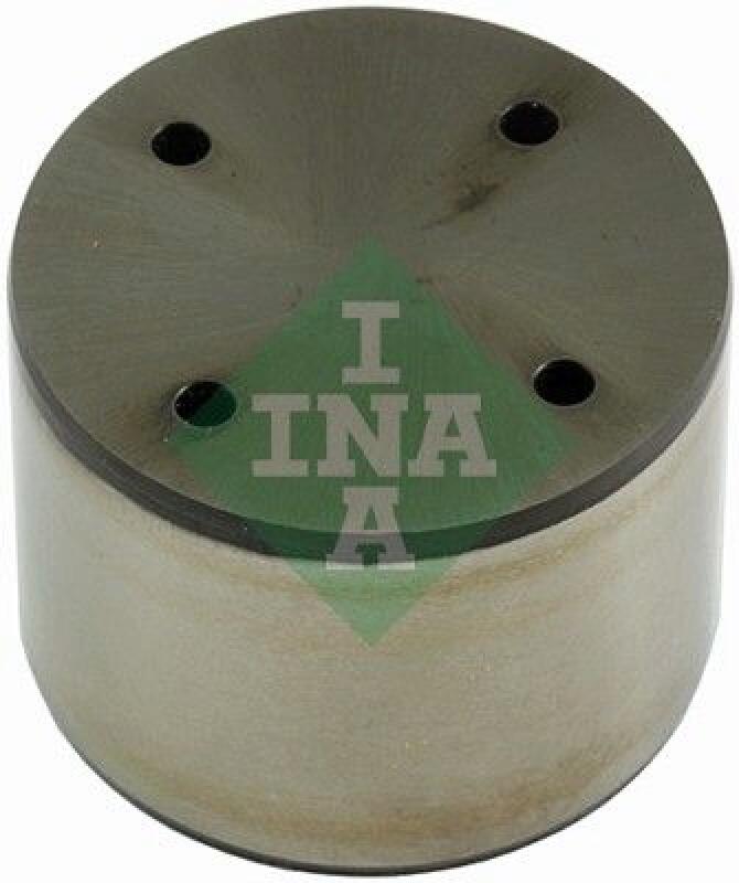 INA Plunger, high pressure pump