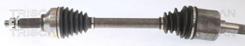 TRISCAN Antriebswelle