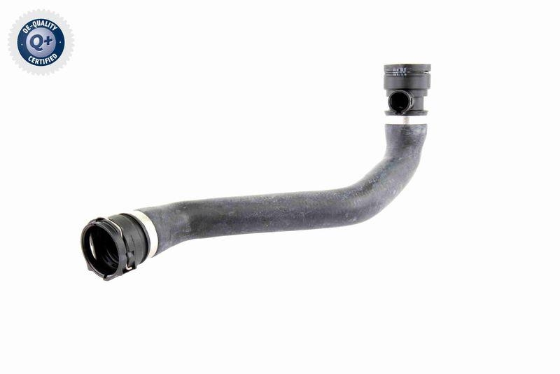 VAICO Radiator Hose Q+, original equipment manufacturer quality