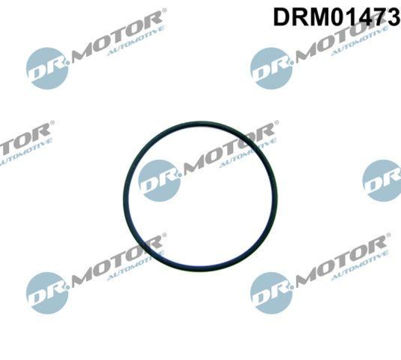 Dr.Motor Automotive Dichtung, Kraftstoffpumpe
