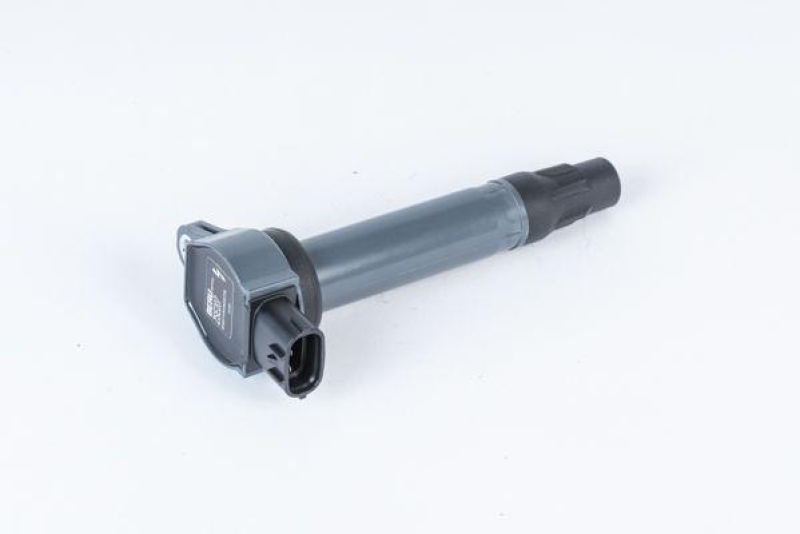 BorgWarner (BERU) Ignition Coil