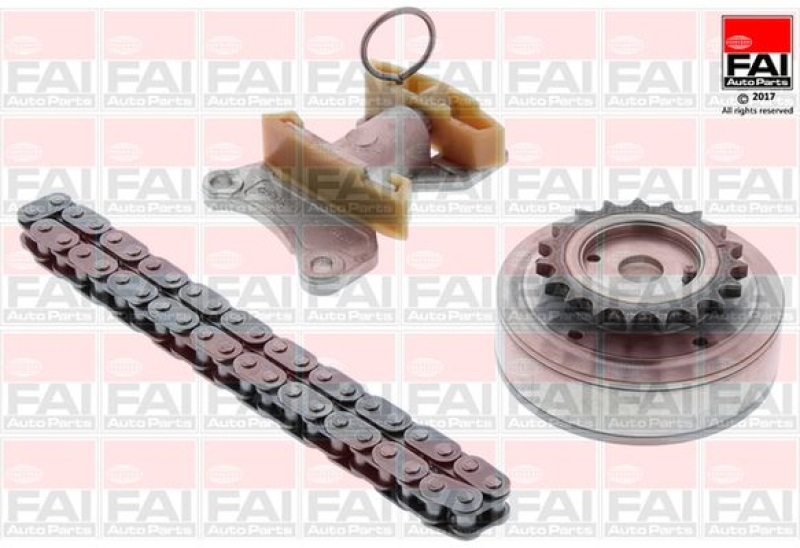 FAI AutoParts Timing Chain Kit