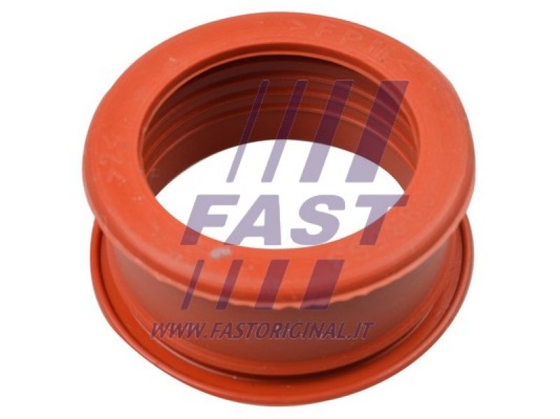 FAST Ladeluftschlauch FT61773