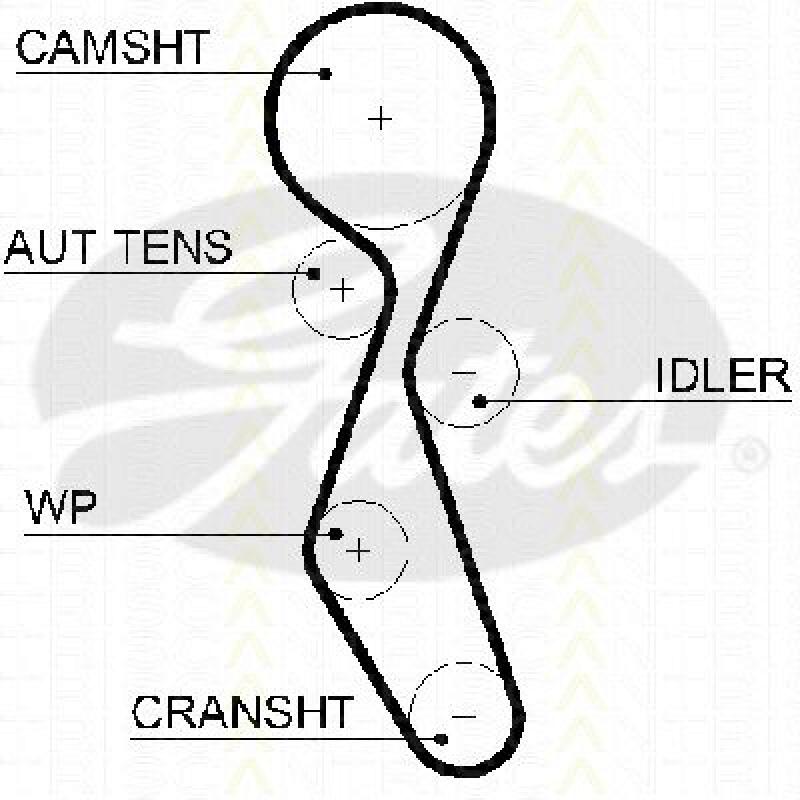 TRISCAN Timing Belt