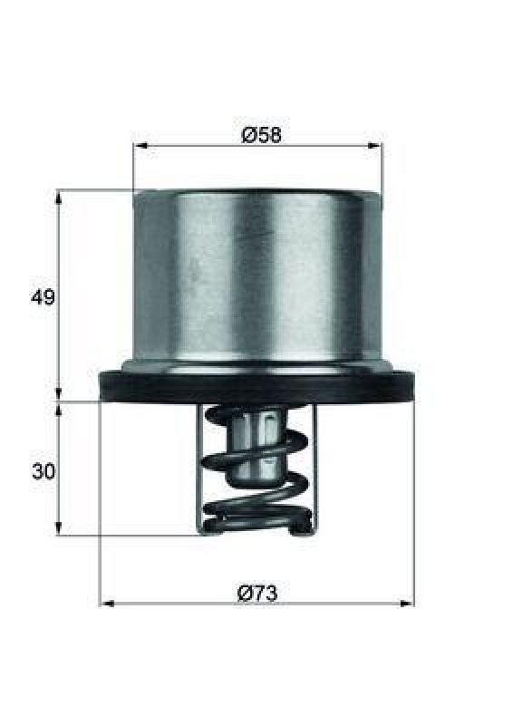 MAHLE Thermostat, coolant BEHR