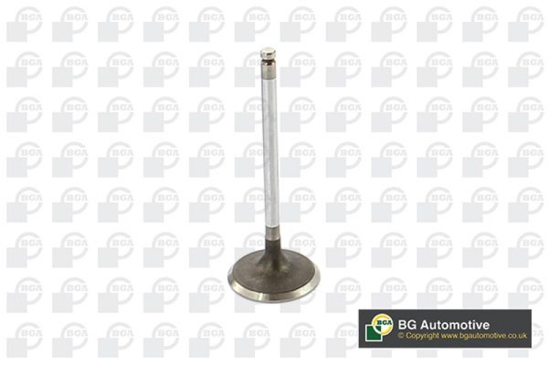 BGA Intake Valve