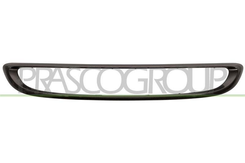 Frame, radiator grille