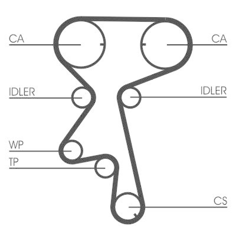 CONTITECH Water Pump & Timing Belt Kit