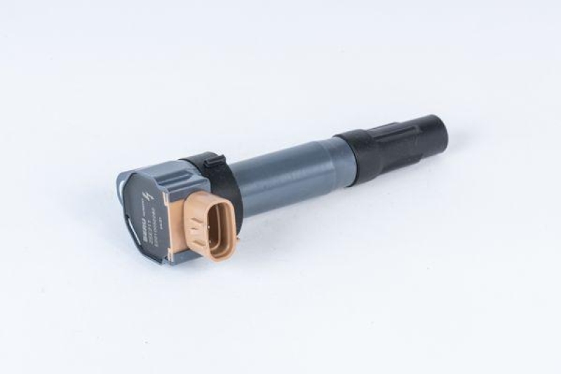 BorgWarner (BERU) Zündspule