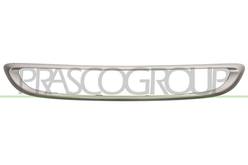 Frame, radiator grille