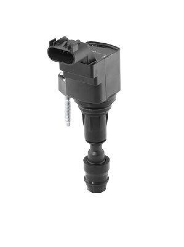 BorgWarner (BERU) Z&uuml;ndspule ZSE212